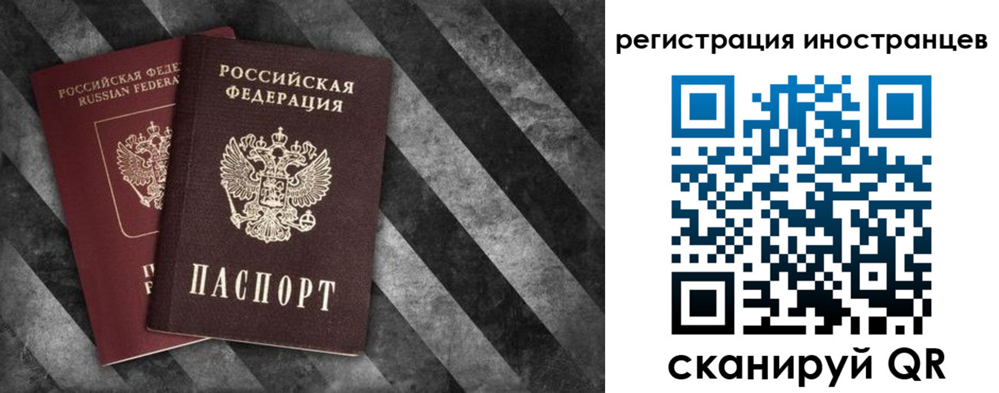 прописка для школы в Луге